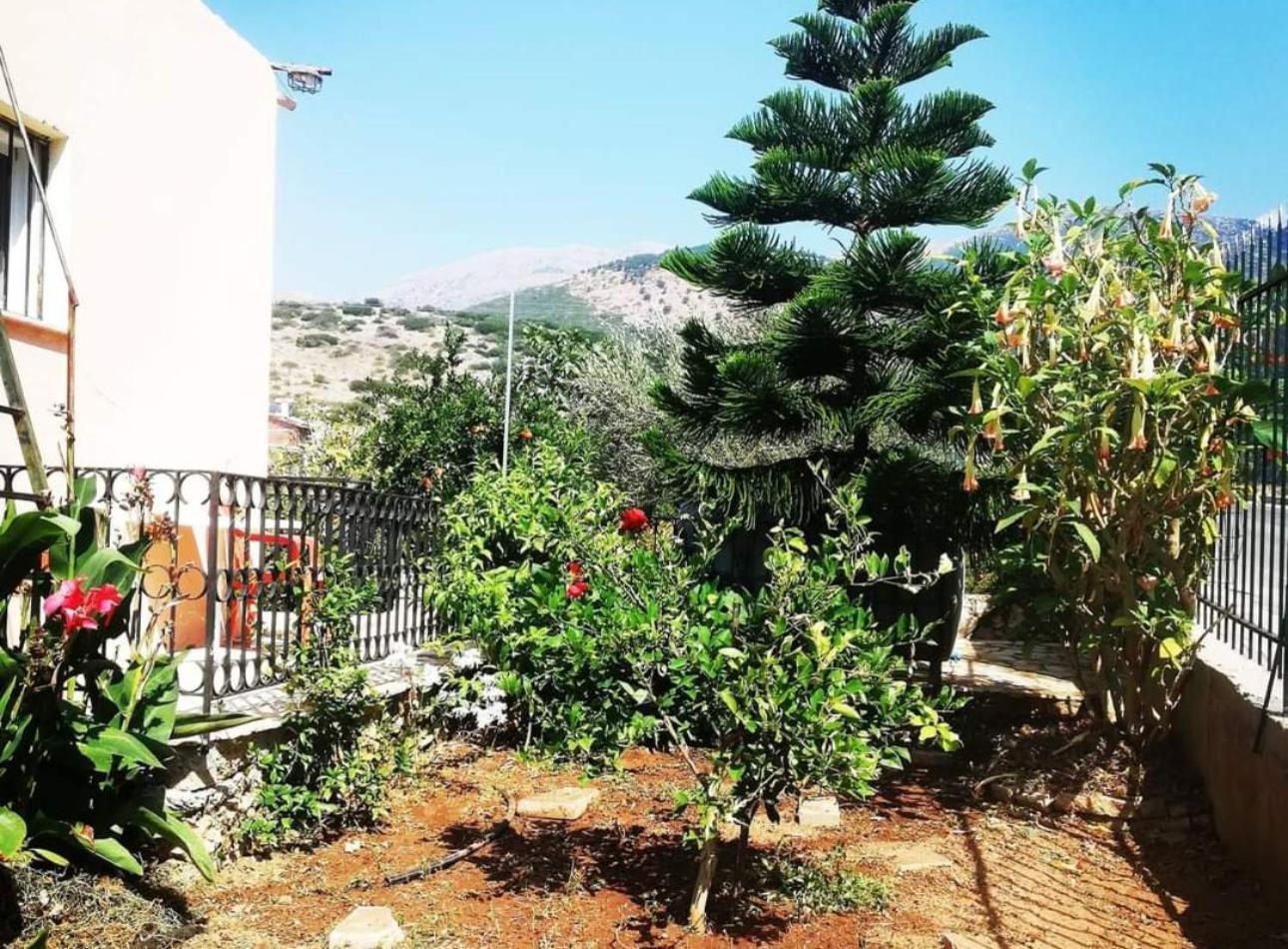 Oasis Hostel Himare Exterior foto